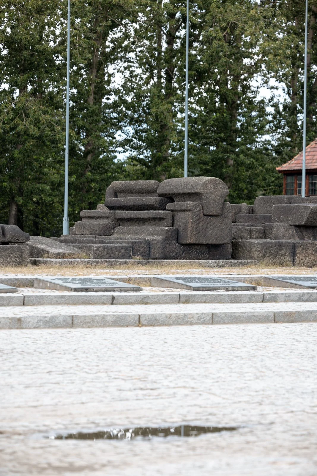 2026 AUSCHWITZ BIRKENAU-33.jpg