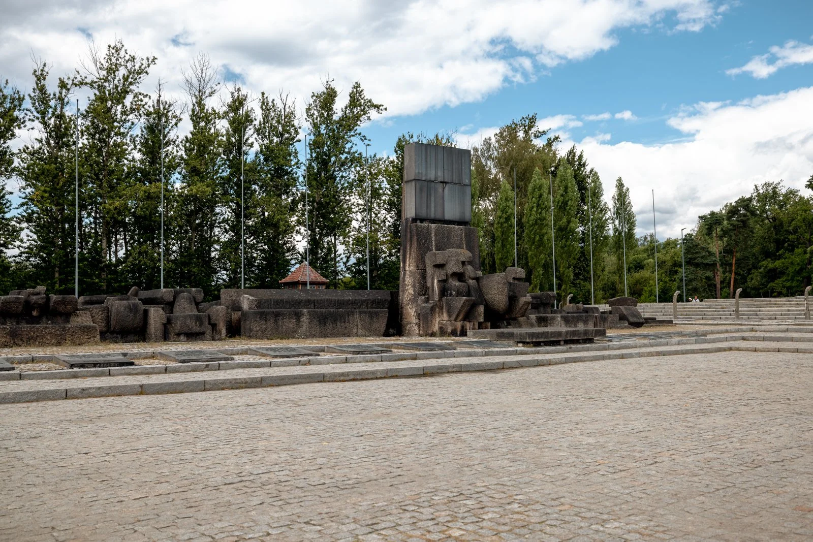 2026 AUSCHWITZ BIRKENAU-38.jpg