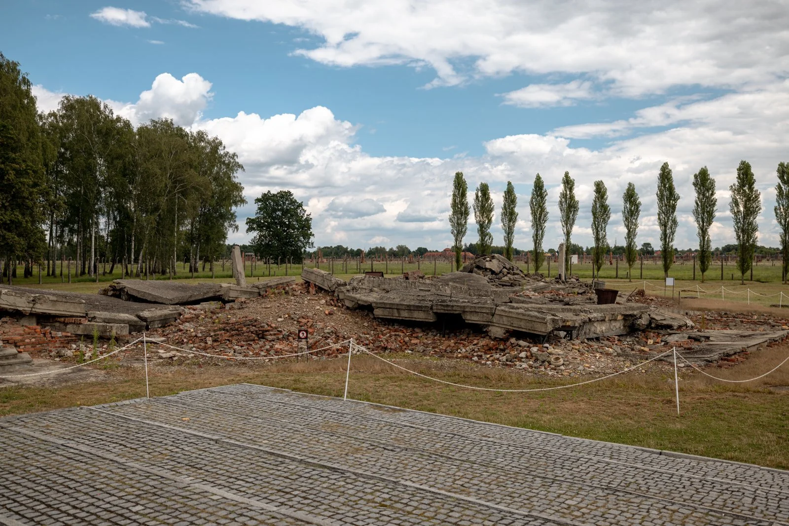 2026 AUSCHWITZ BIRKENAU-40.jpg