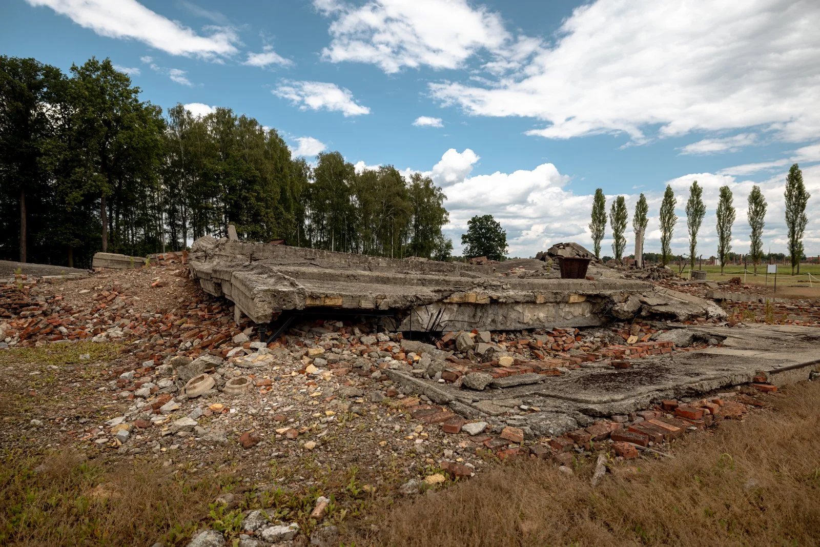 2026 AUSCHWITZ BIRKENAU-42.jpg
