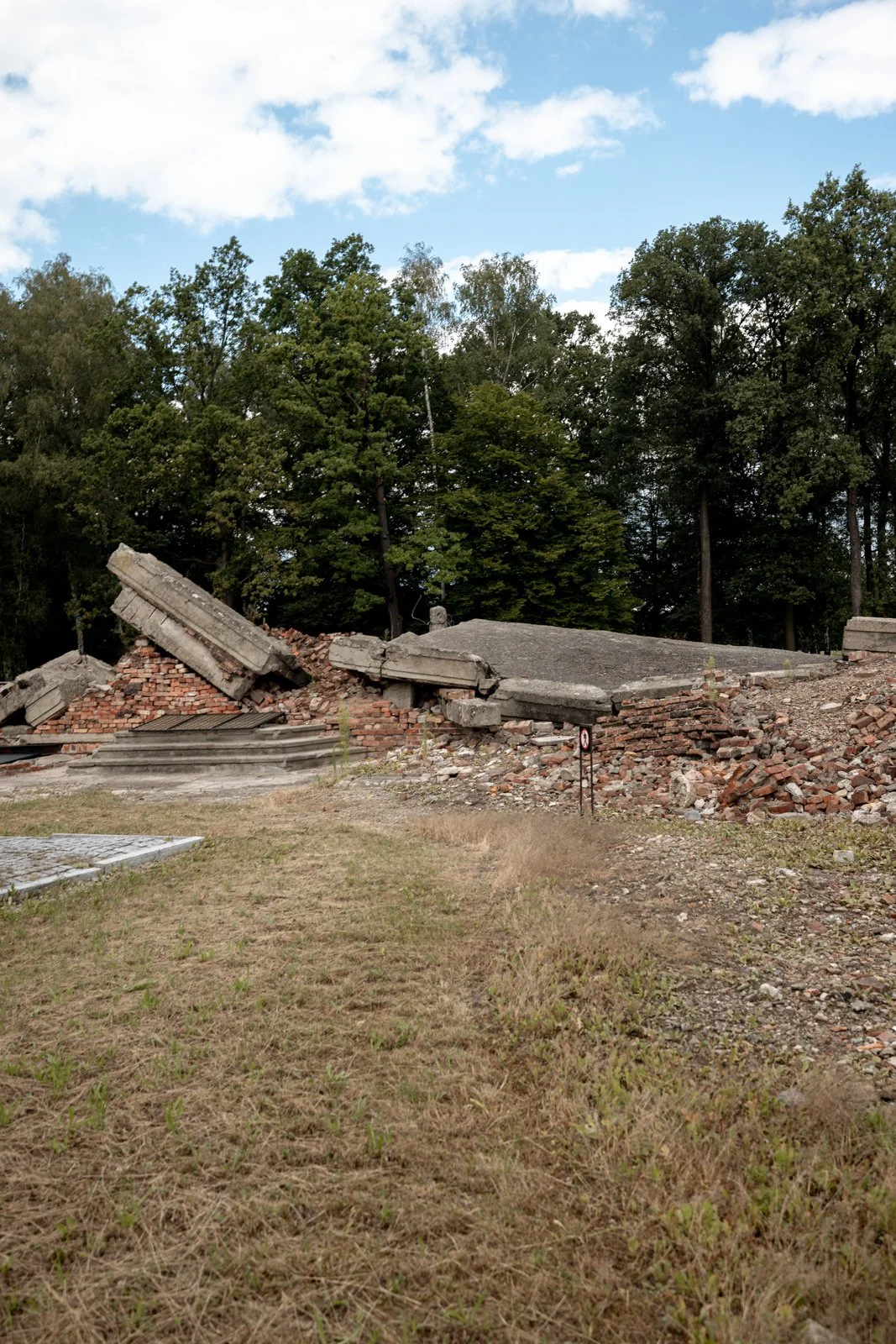 2026 AUSCHWITZ BIRKENAU-43.jpg