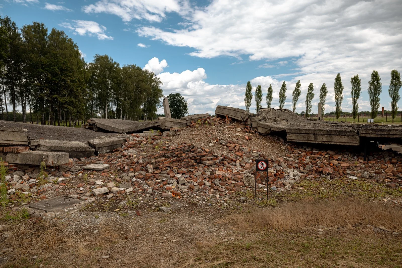 2026 AUSCHWITZ BIRKENAU-44.jpg