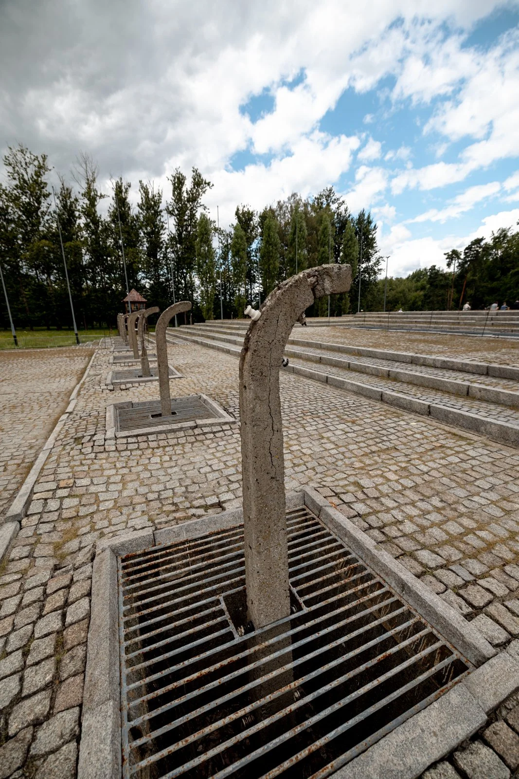 2026 AUSCHWITZ BIRKENAU-47.jpg