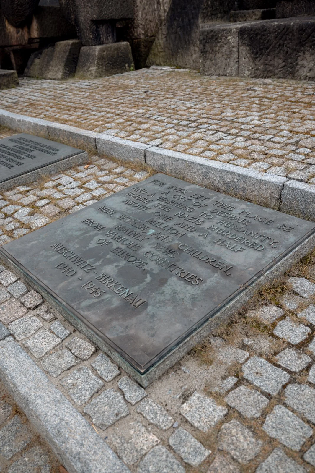 2026 AUSCHWITZ BIRKENAU-49.jpg
