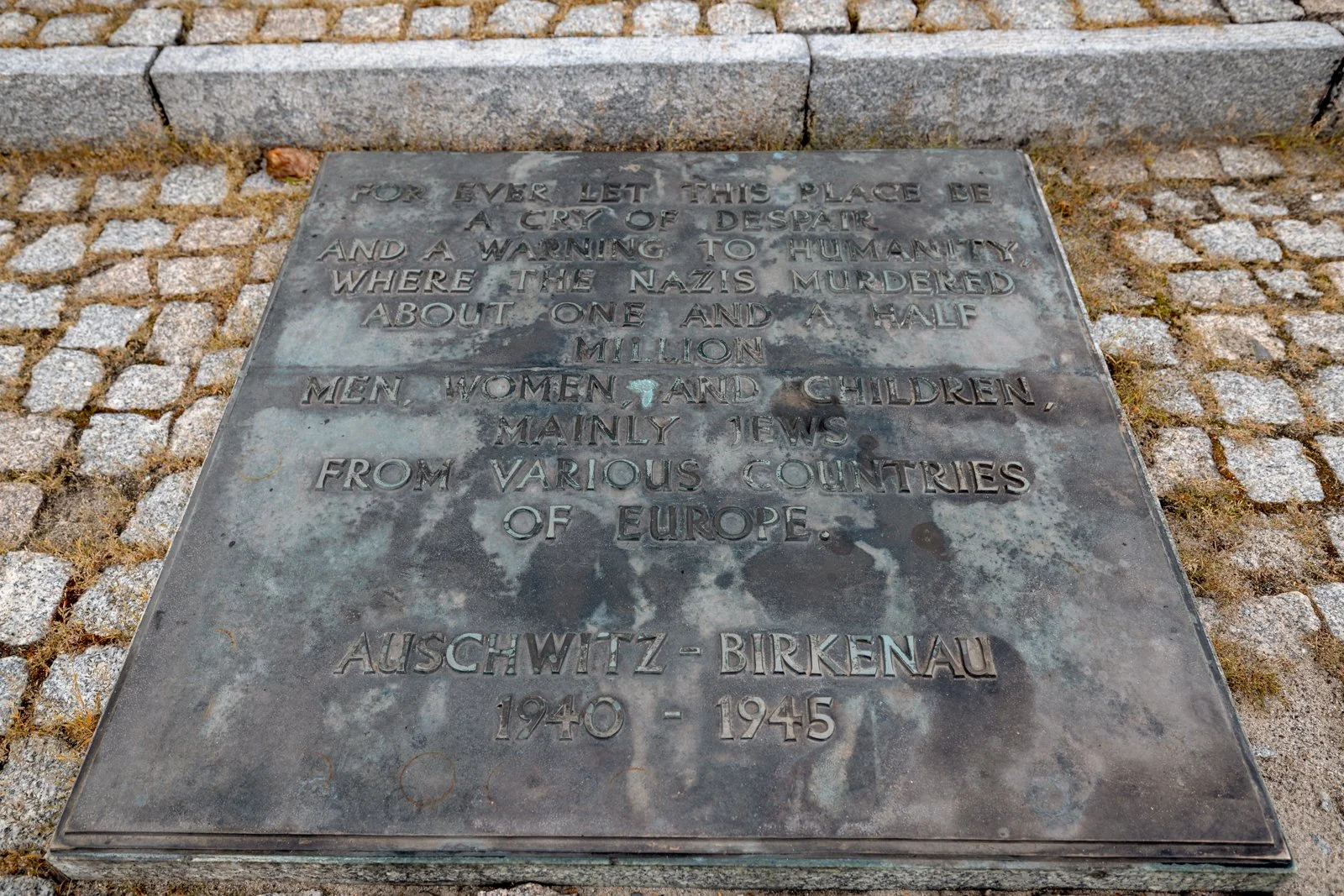 2026 AUSCHWITZ BIRKENAU-51.jpg
