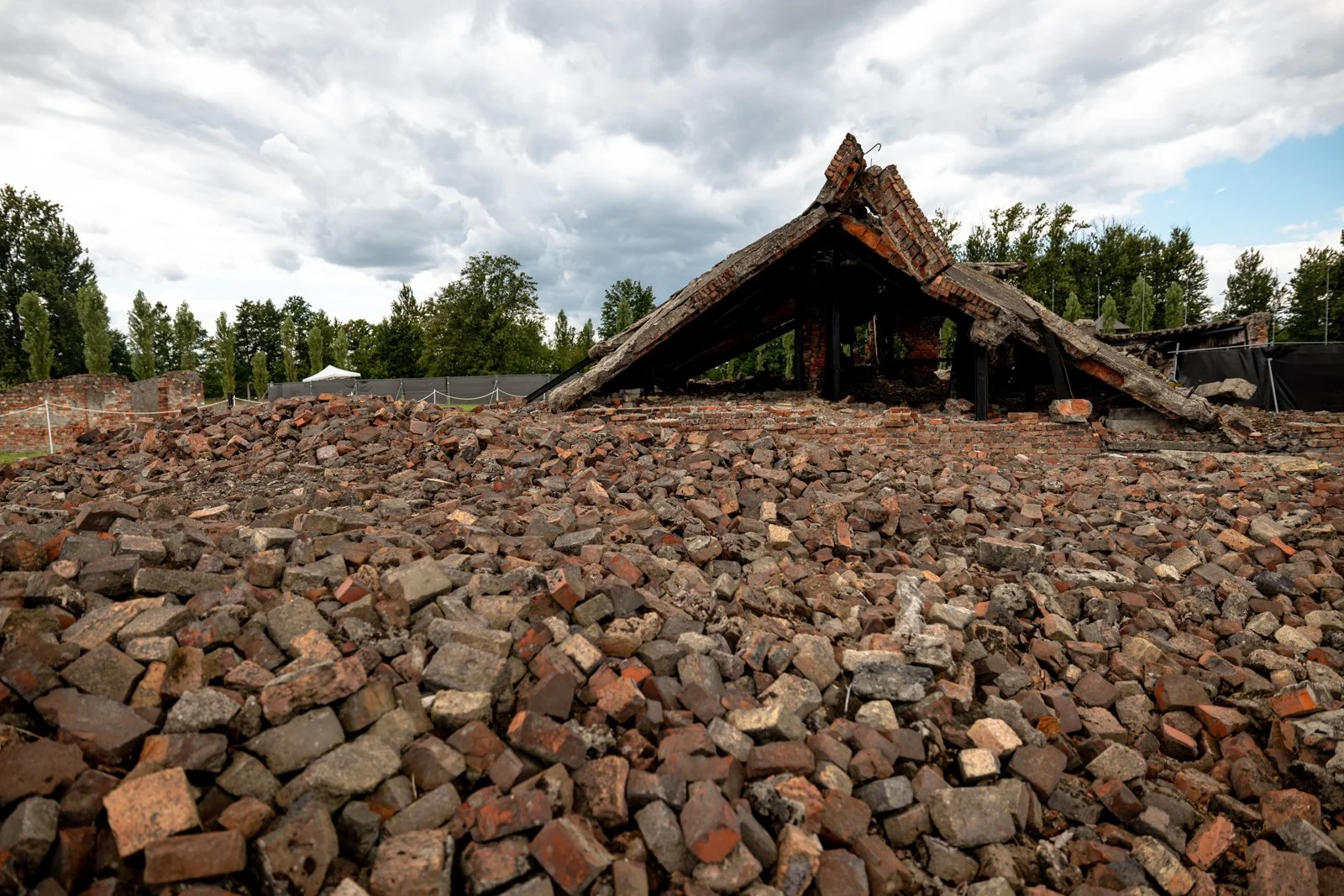 2026 AUSCHWITZ BIRKENAU-55.jpg