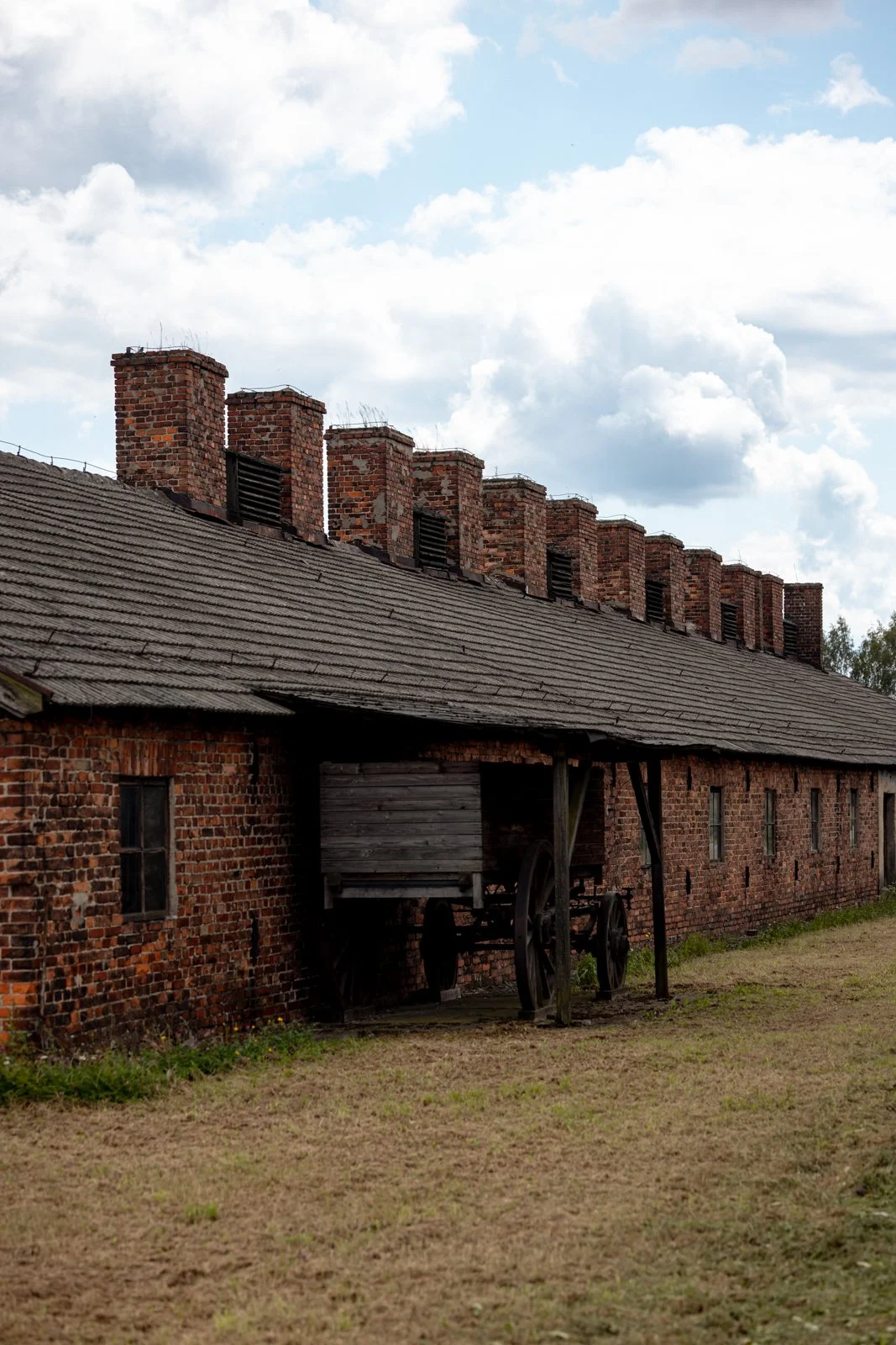 2026 AUSCHWITZ BIRKENAU-59.jpg