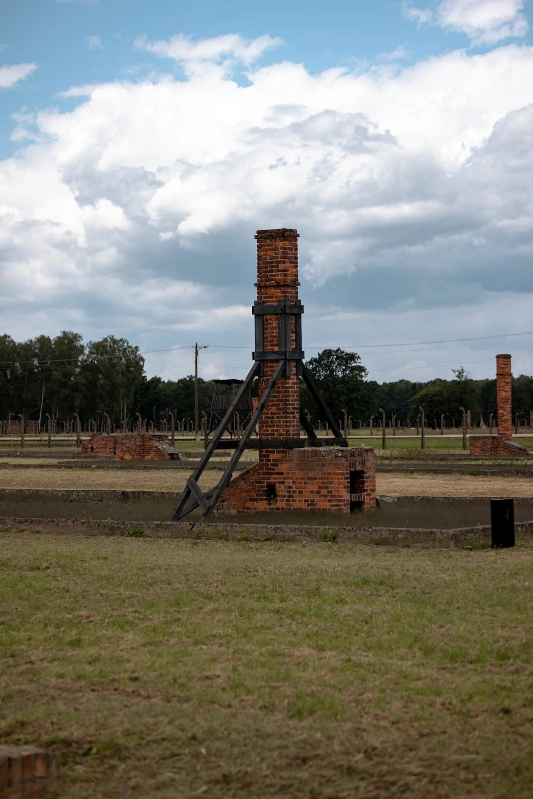 2026 AUSCHWITZ BIRKENAU-60.jpg