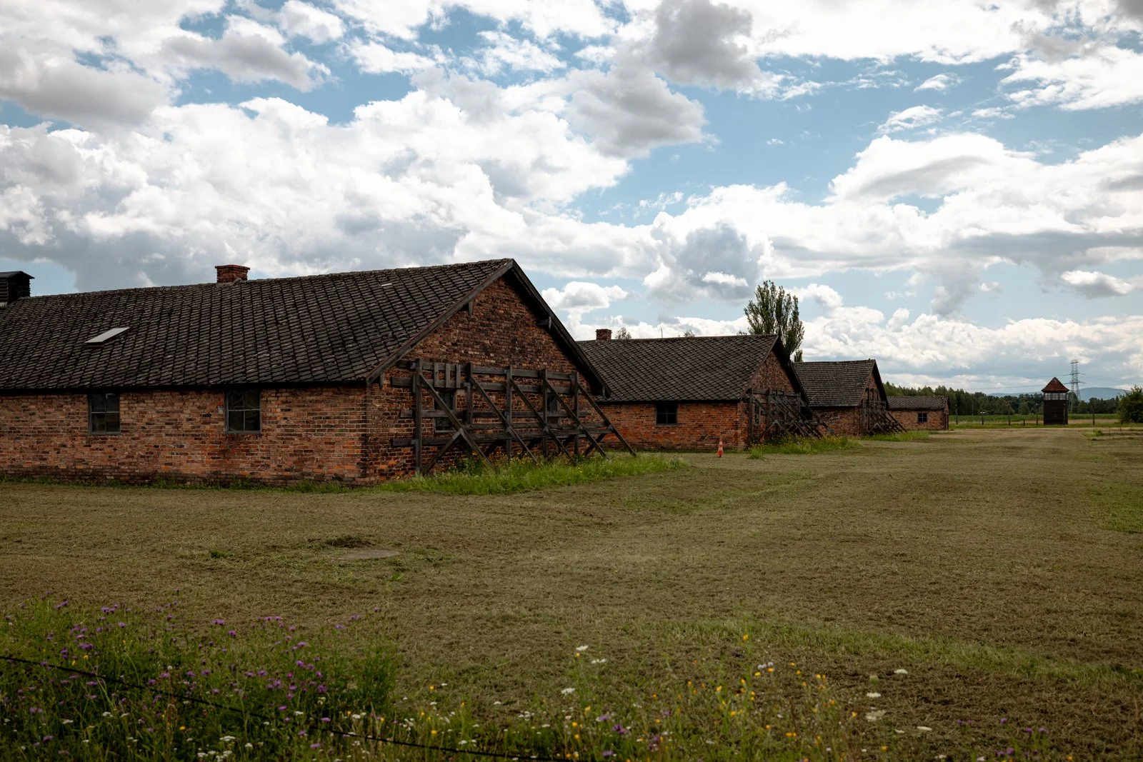 2026 AUSCHWITZ BIRKENAU-61.jpg