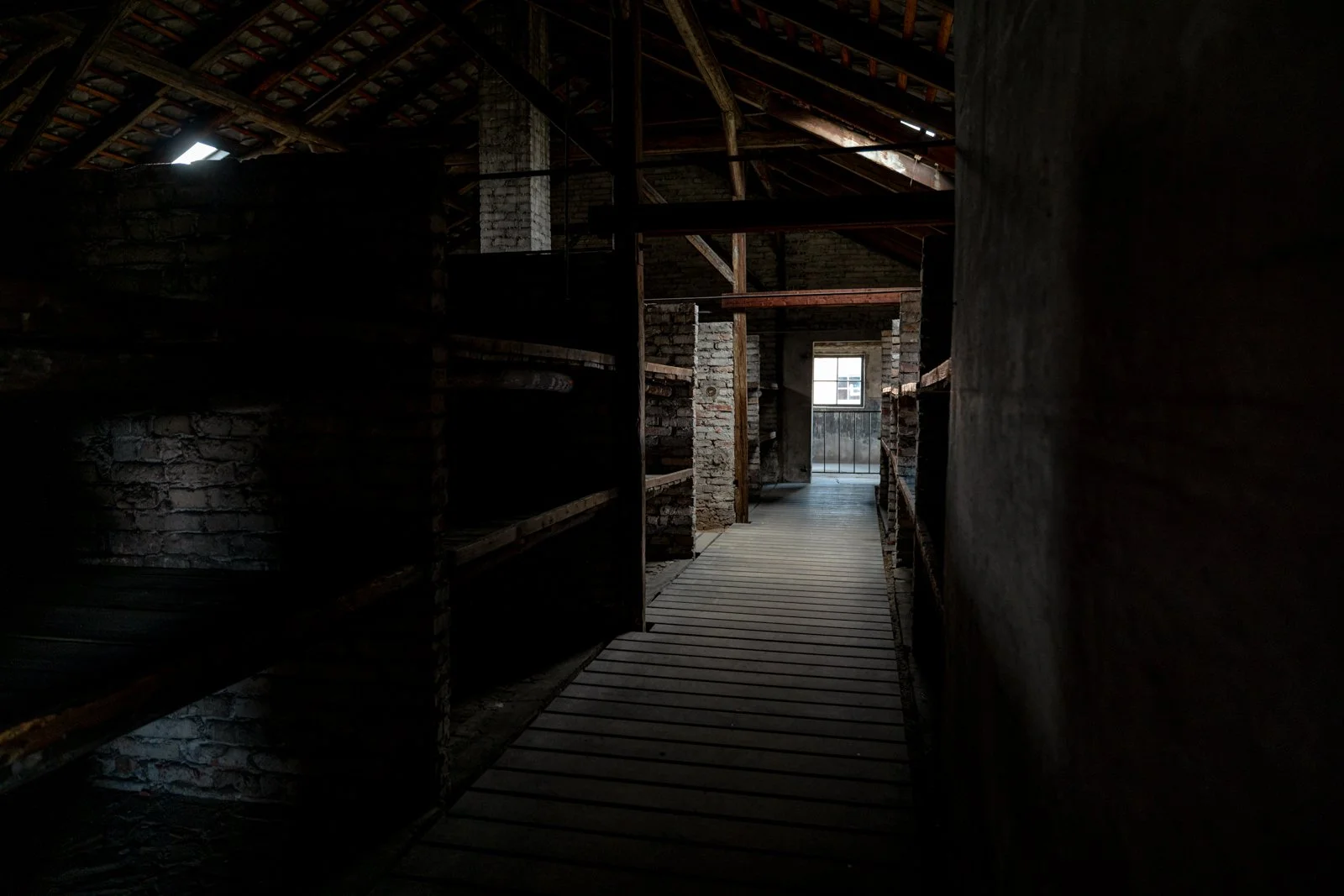2026 AUSCHWITZ BIRKENAU-62.jpg