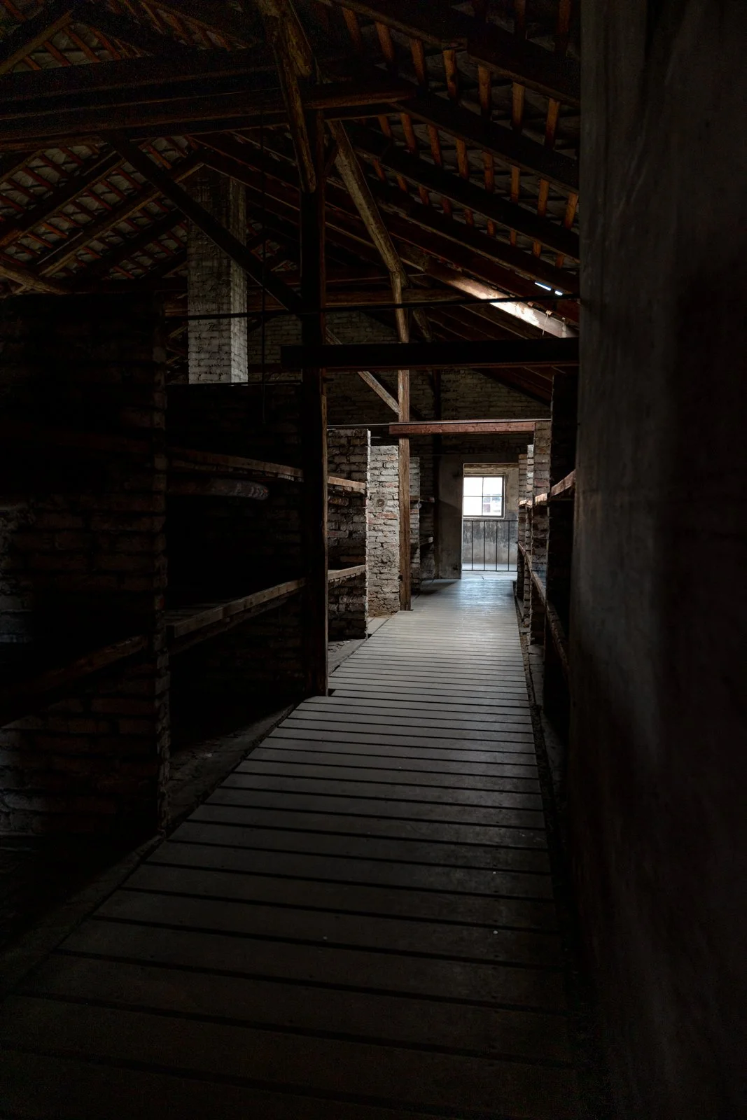 2026 AUSCHWITZ BIRKENAU-63.jpg