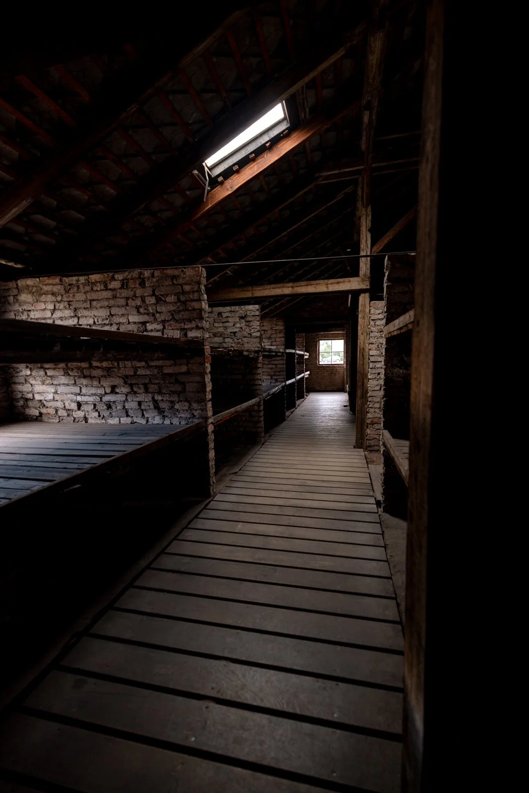 2026 AUSCHWITZ BIRKENAU-64.jpg
