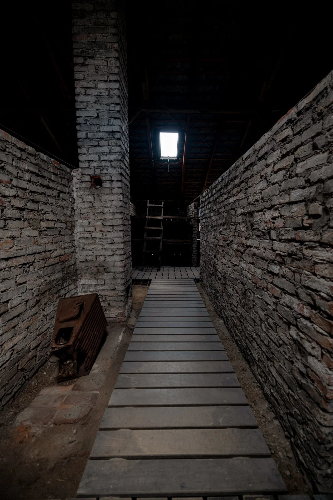2026 AUSCHWITZ BIRKENAU-65.jpg