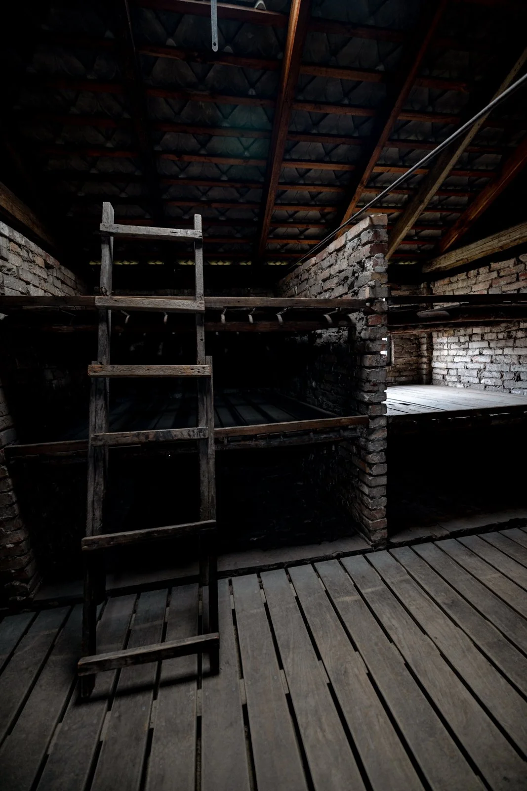 2026 AUSCHWITZ BIRKENAU-66.jpg