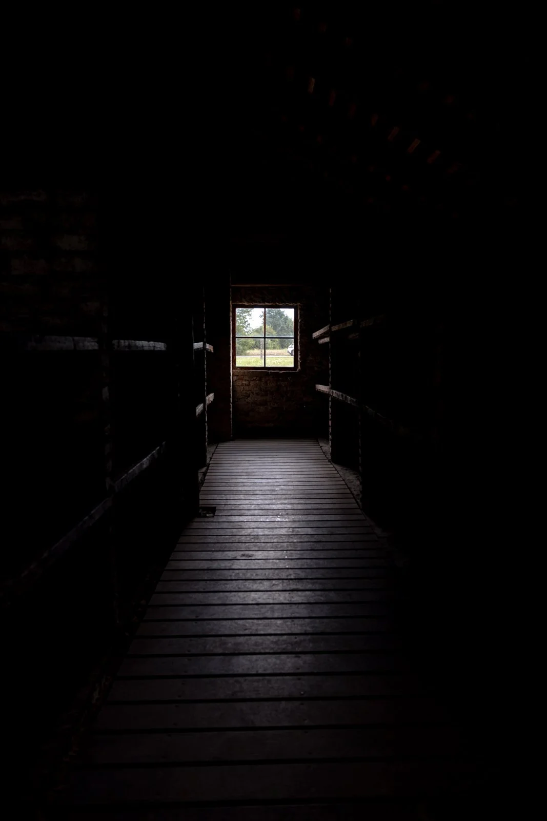 2026 AUSCHWITZ BIRKENAU-67.jpg