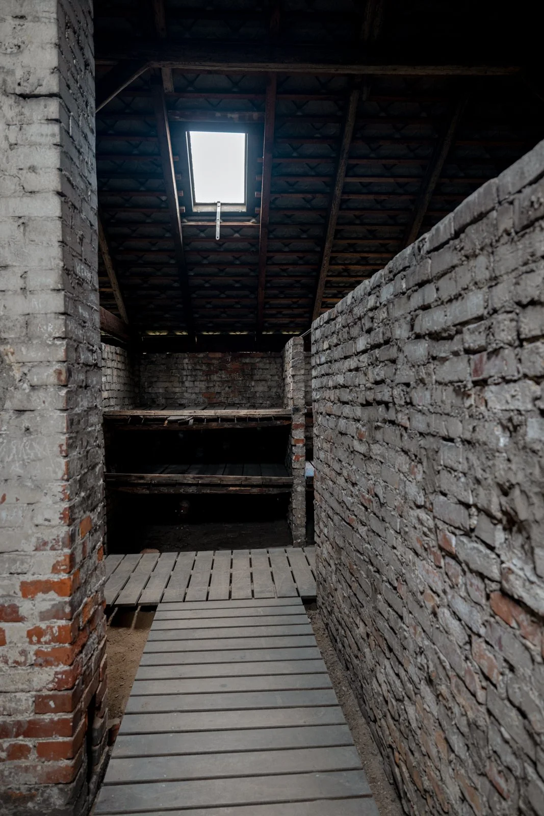 2026 AUSCHWITZ BIRKENAU-71.jpg