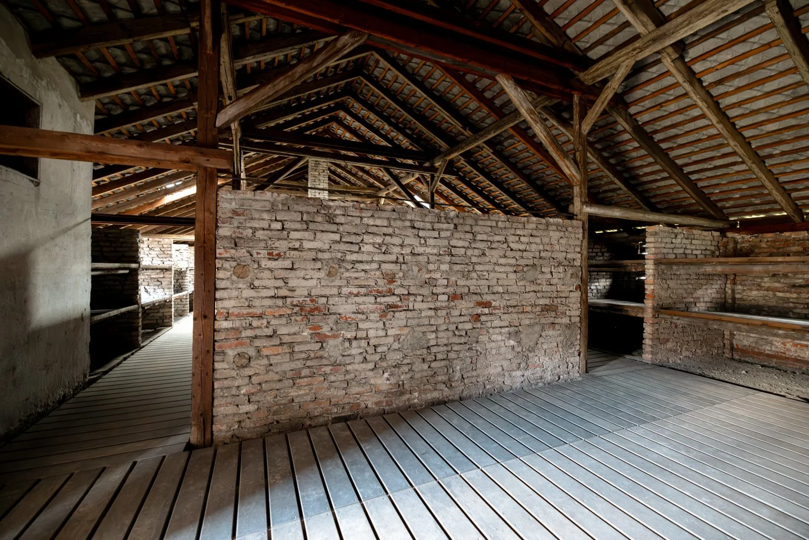 2026 AUSCHWITZ BIRKENAU-72.jpg