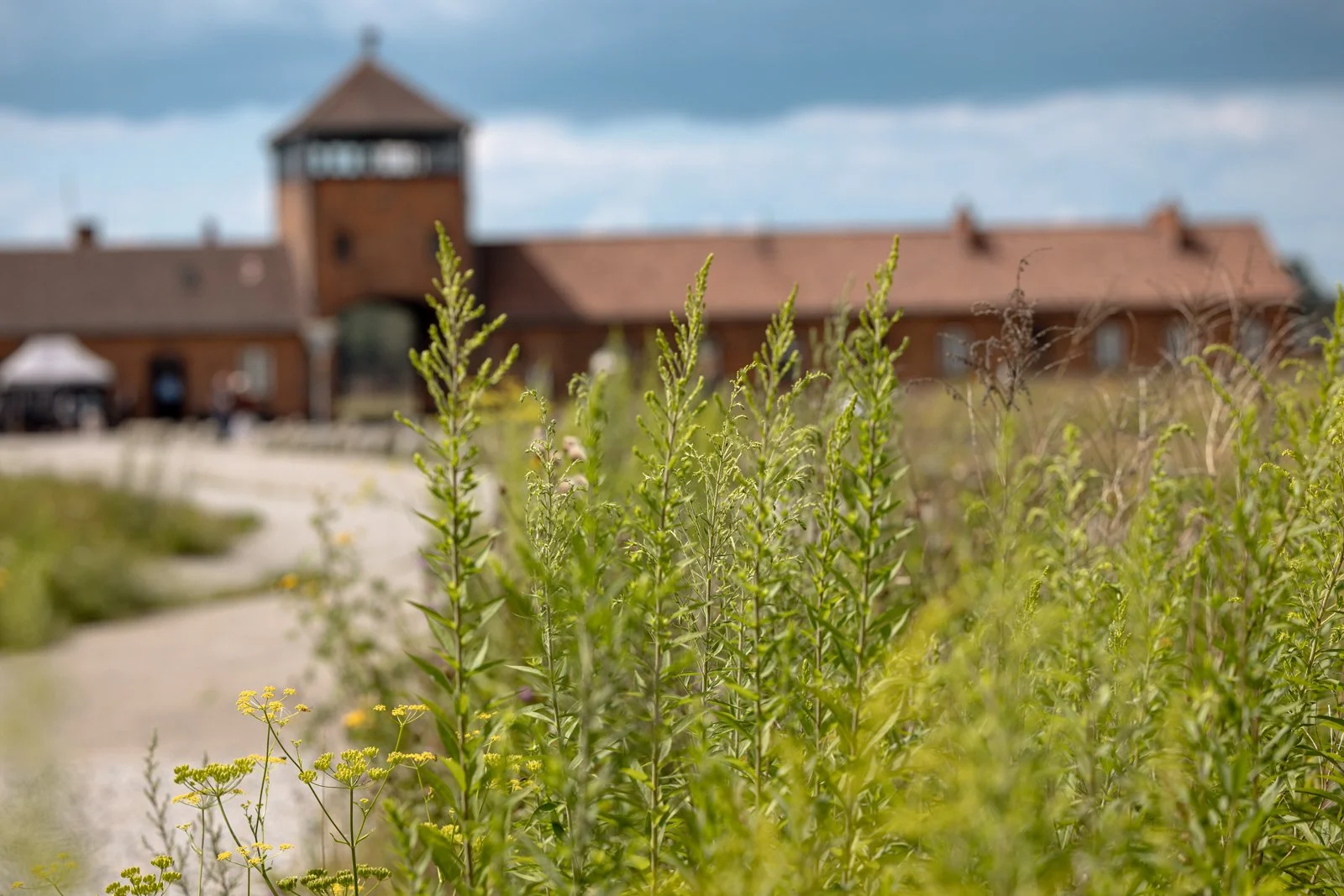 2026 AUSCHWITZ BIRKENAU-80.jpg