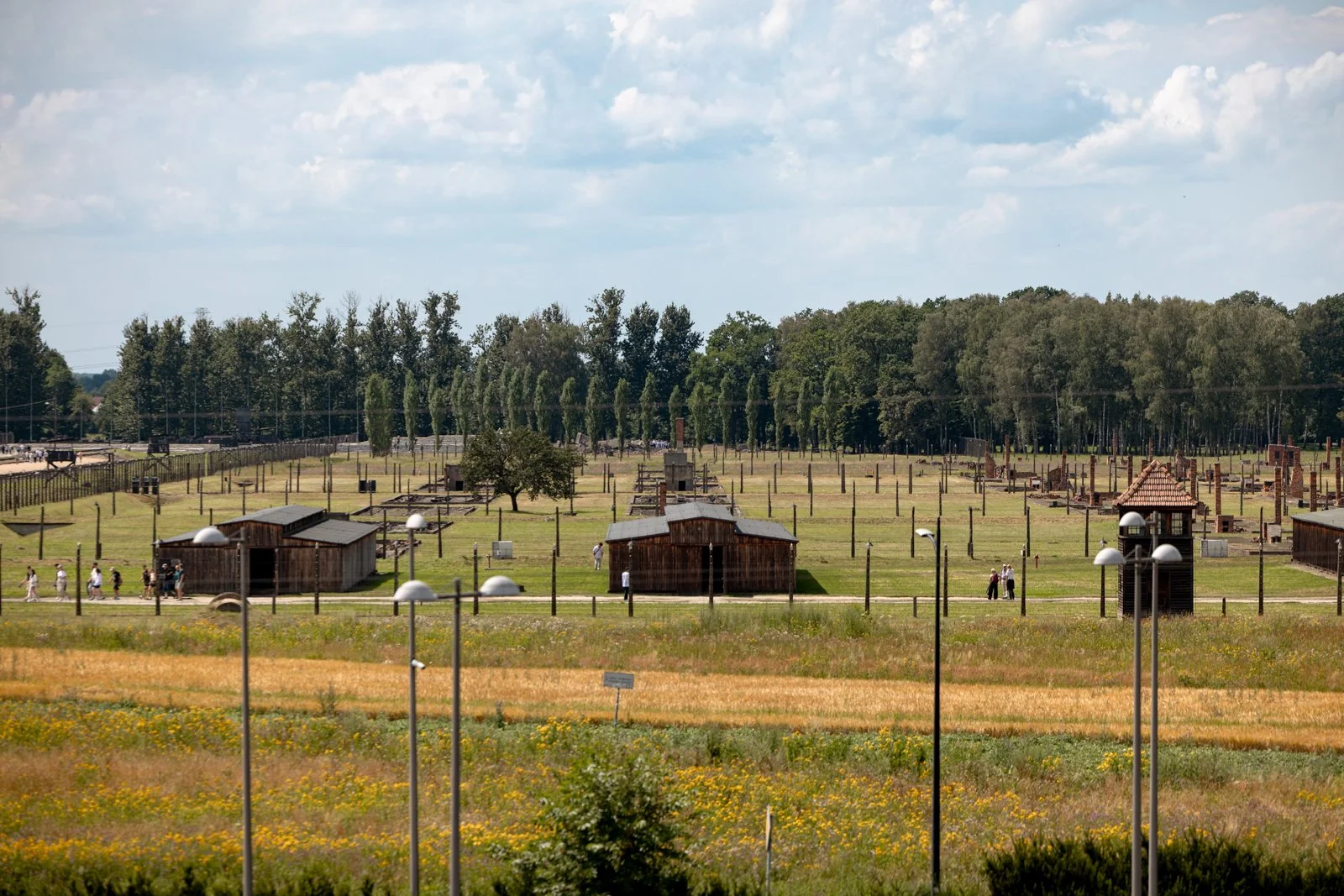 2026 AUSCHWITZ BIRKENAU-85.jpg