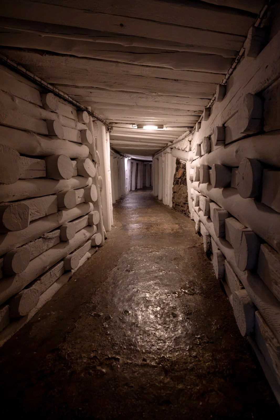 2026 WIELICZKA SALT MINE-9.jpg