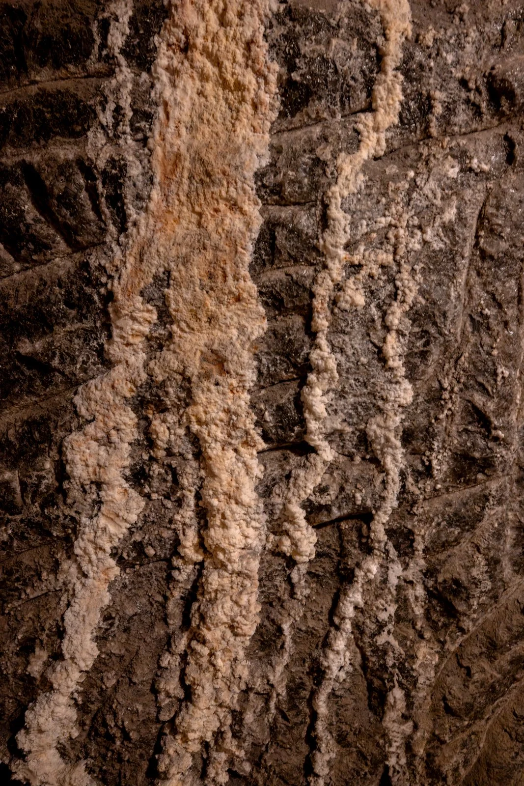 2026 WIELICZKA SALT MINE-35.jpg