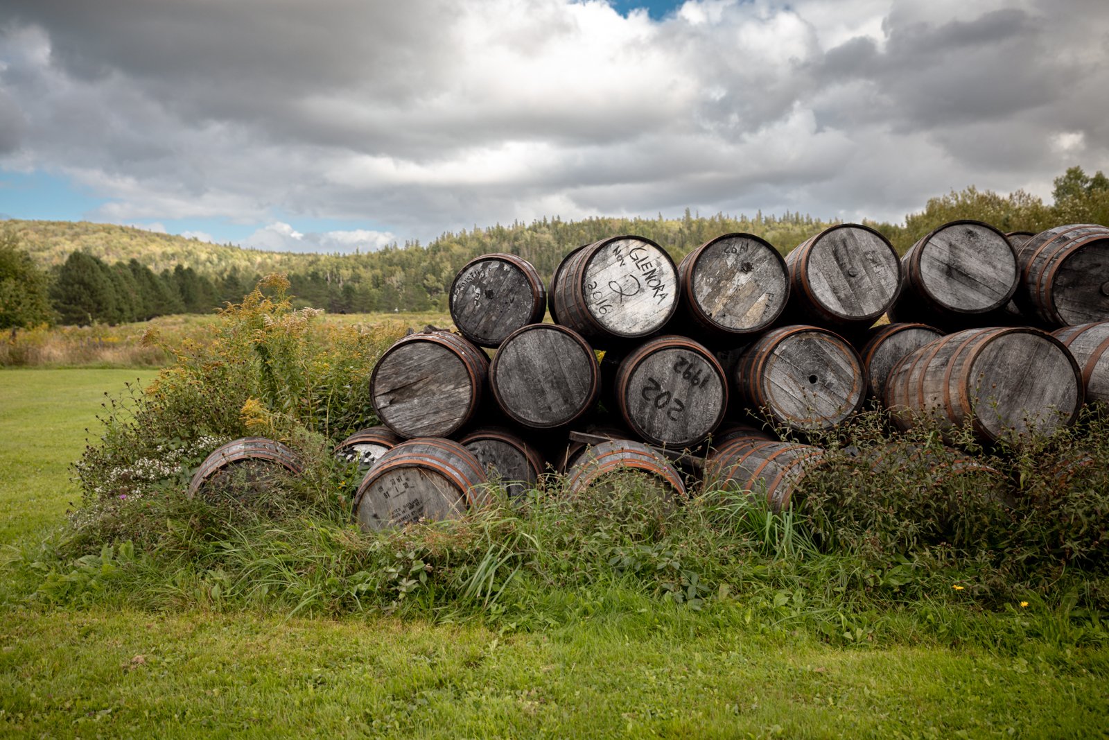 2026 CAPE BRETON-59.jpg