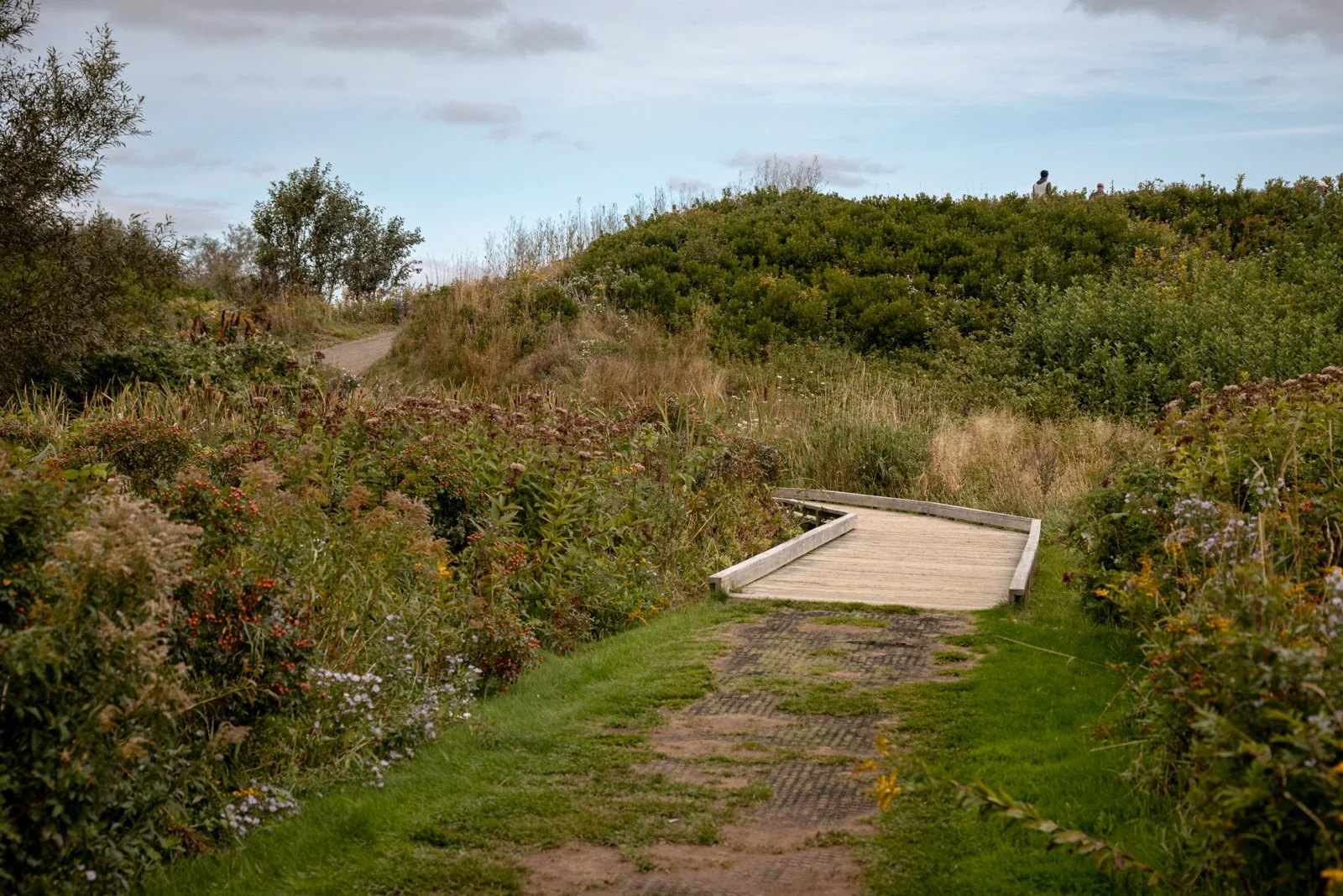 2026 CAPE BRETON-100.jpg