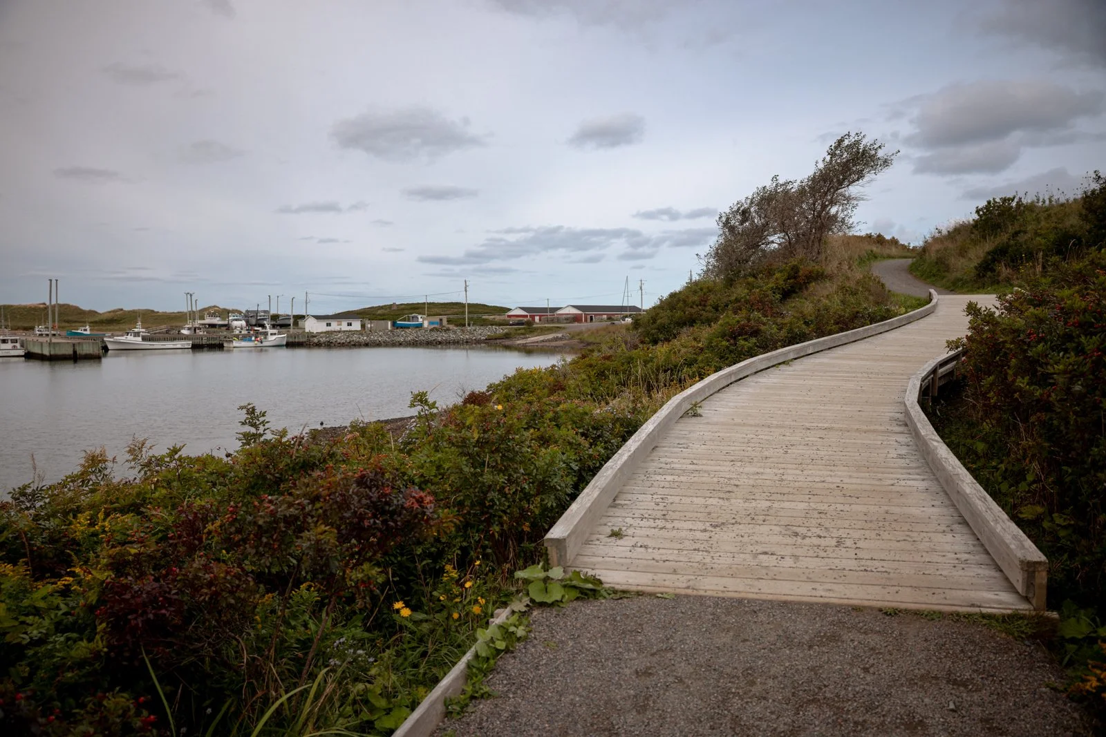 2026 CAPE BRETON-104.jpg