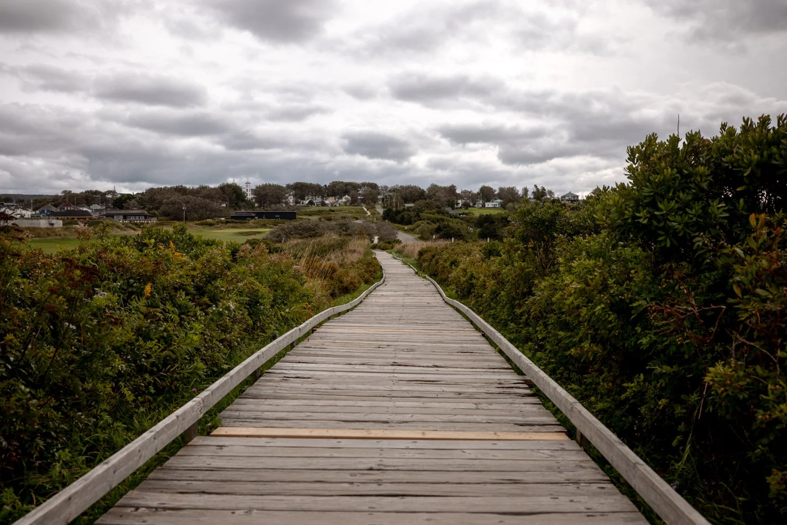 2026 CAPE BRETON-109.jpg