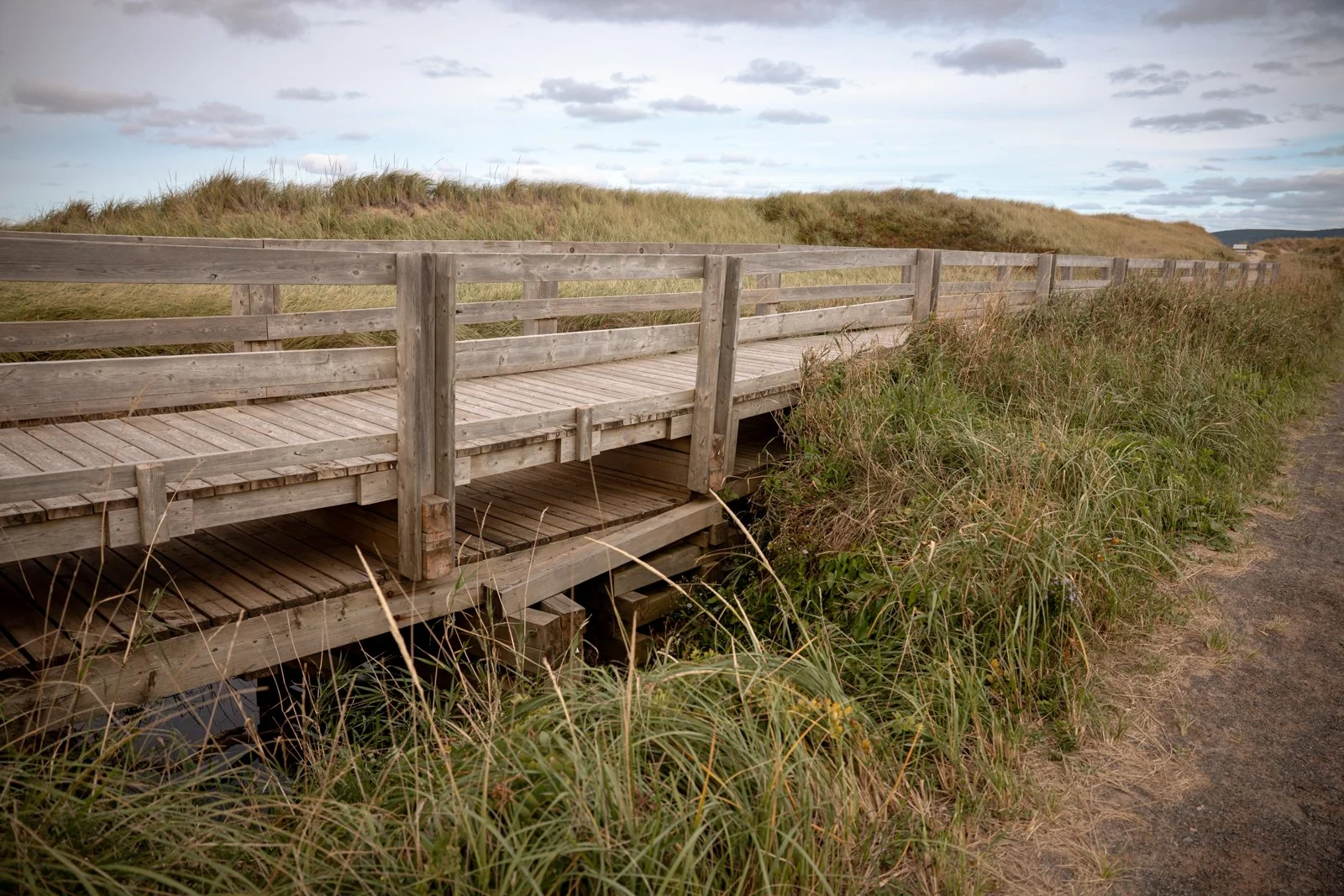 2026 CAPE BRETON-116.jpg