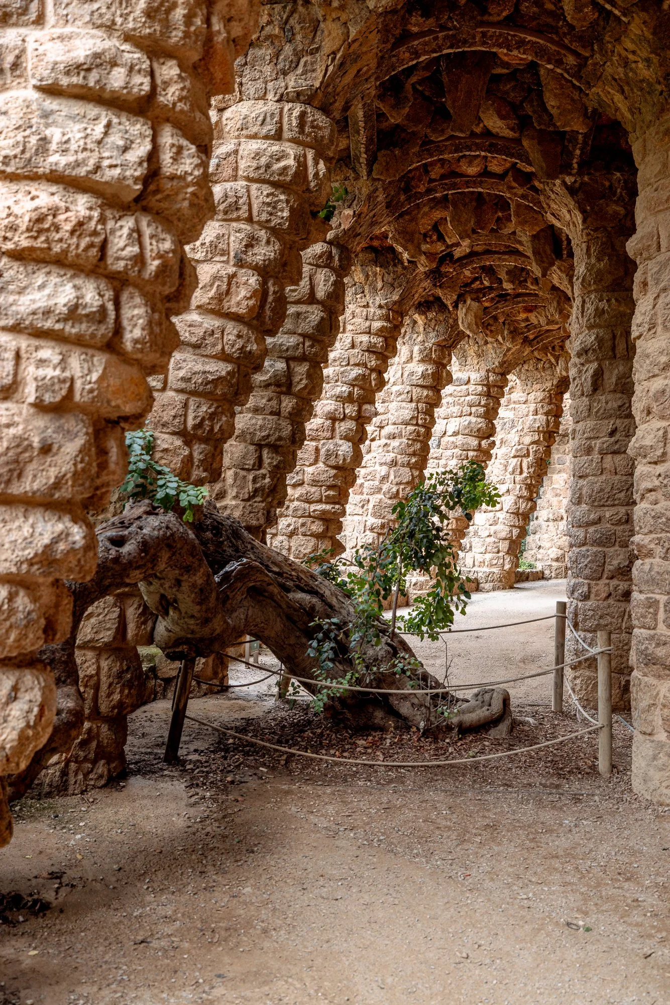 2026 BARCA PARC GUELL-027.jpg