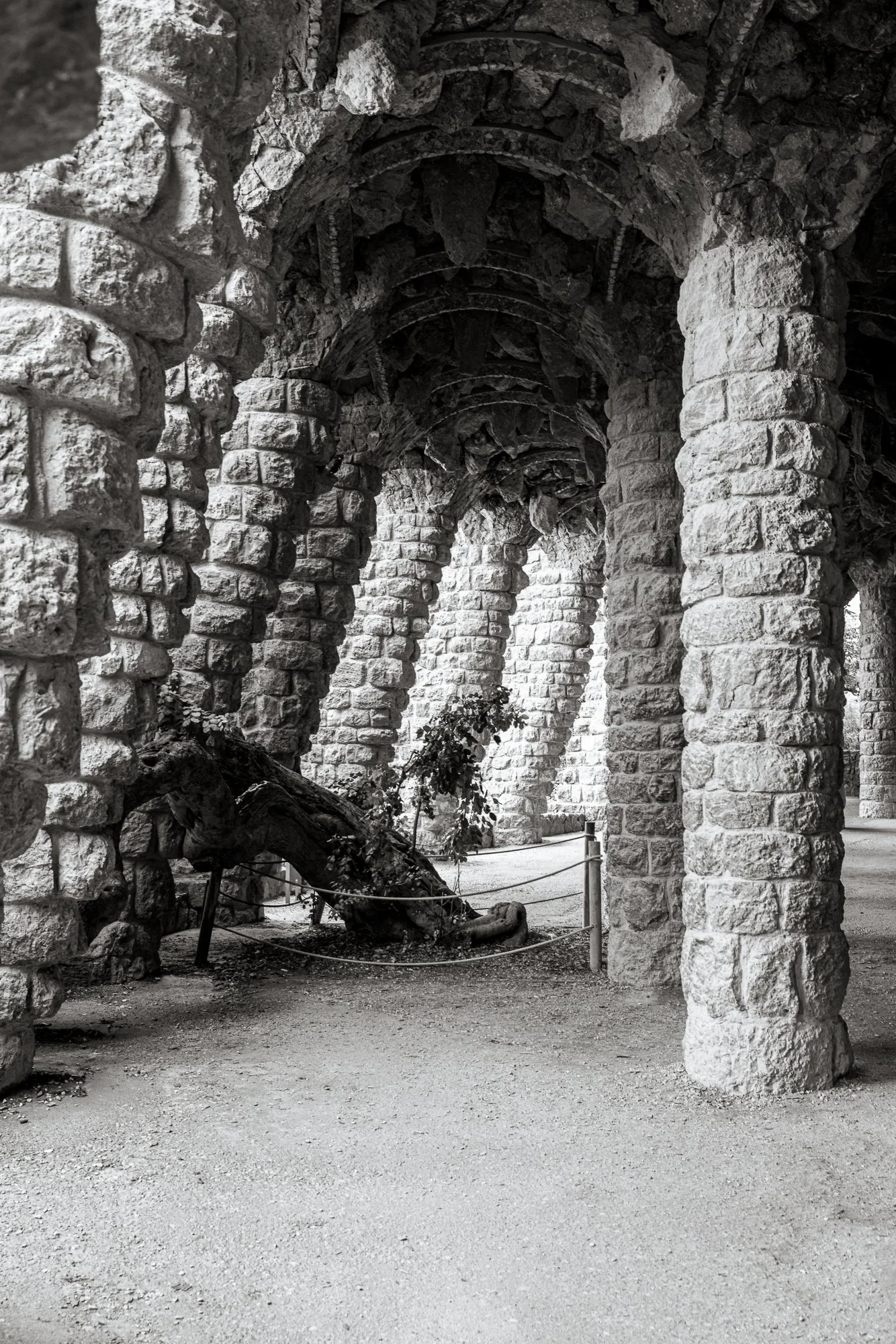 2026 BARCA PARC GUELL-048.jpg