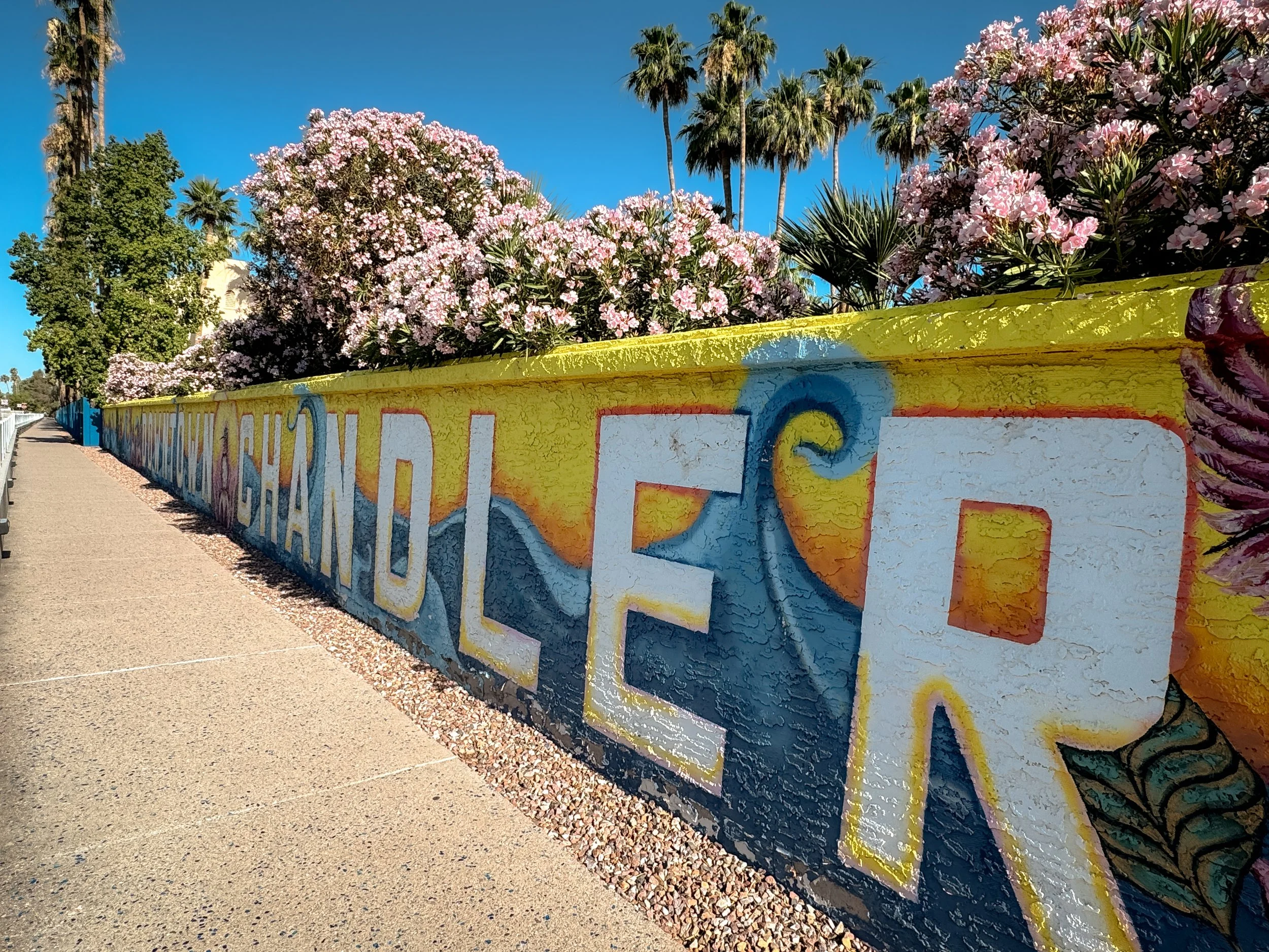2026 CHANDLER-67.jpg