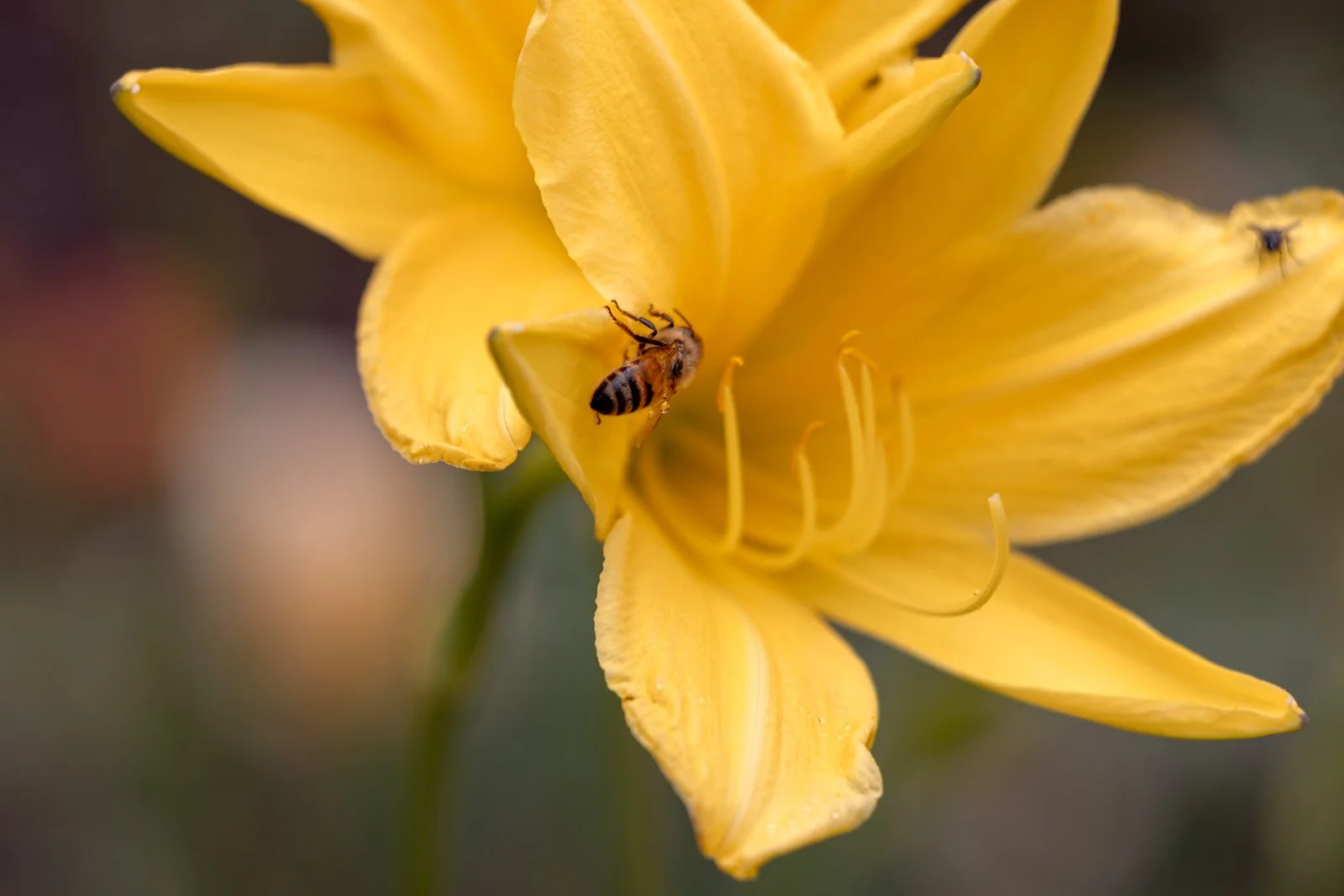 2026 BERLIN TIERGARDEN-10.jpg