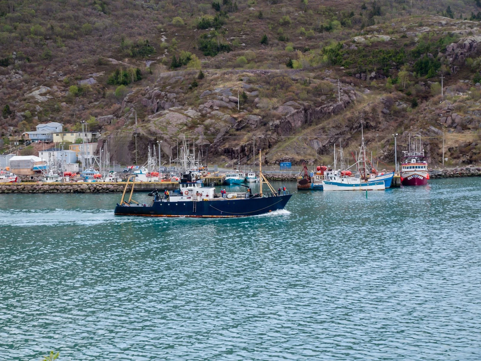 2009 Newfoundland 2020 edit-44.JPG