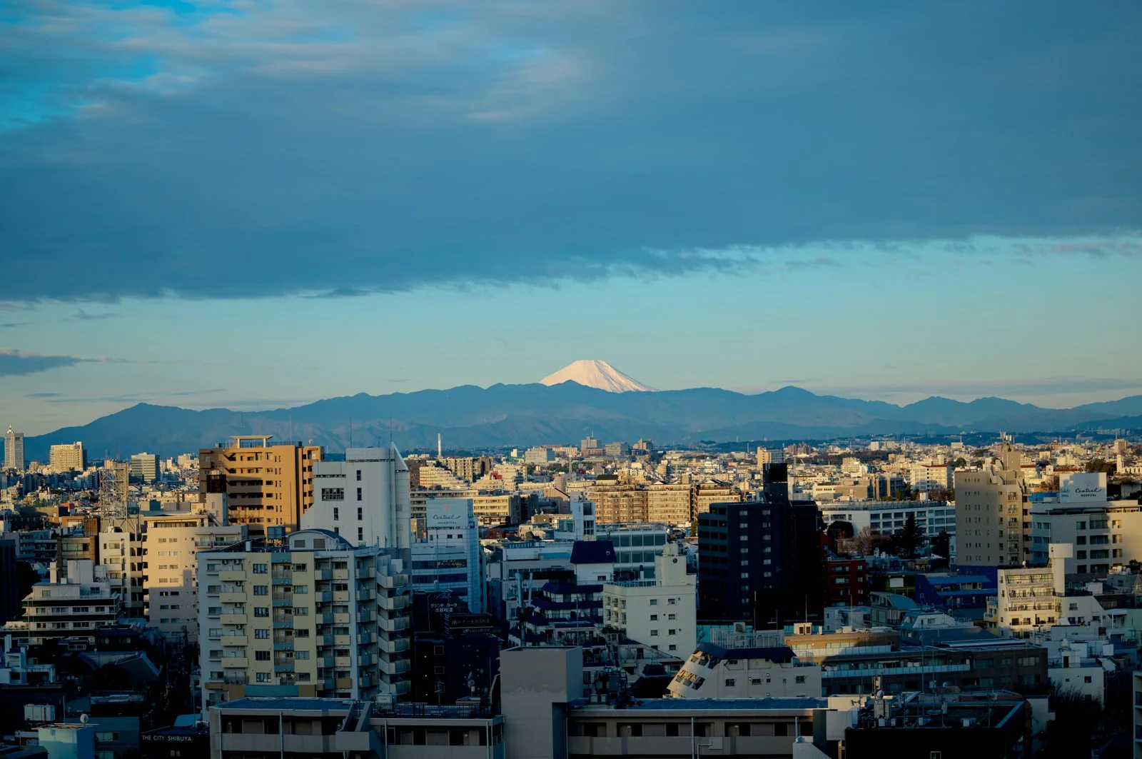 2026 JAPAN SHIBUYA-126.jpg