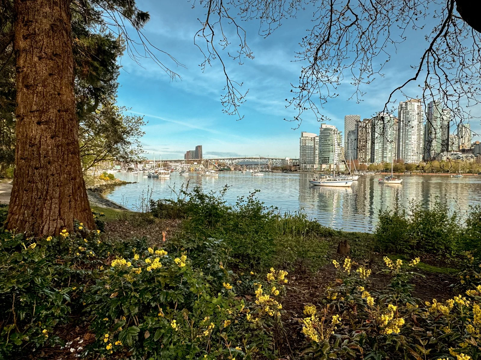 2026 Vancouver Spring-17.jpg
