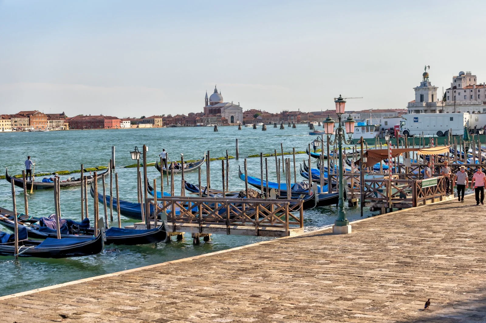 2022 VENICE-66.jpg