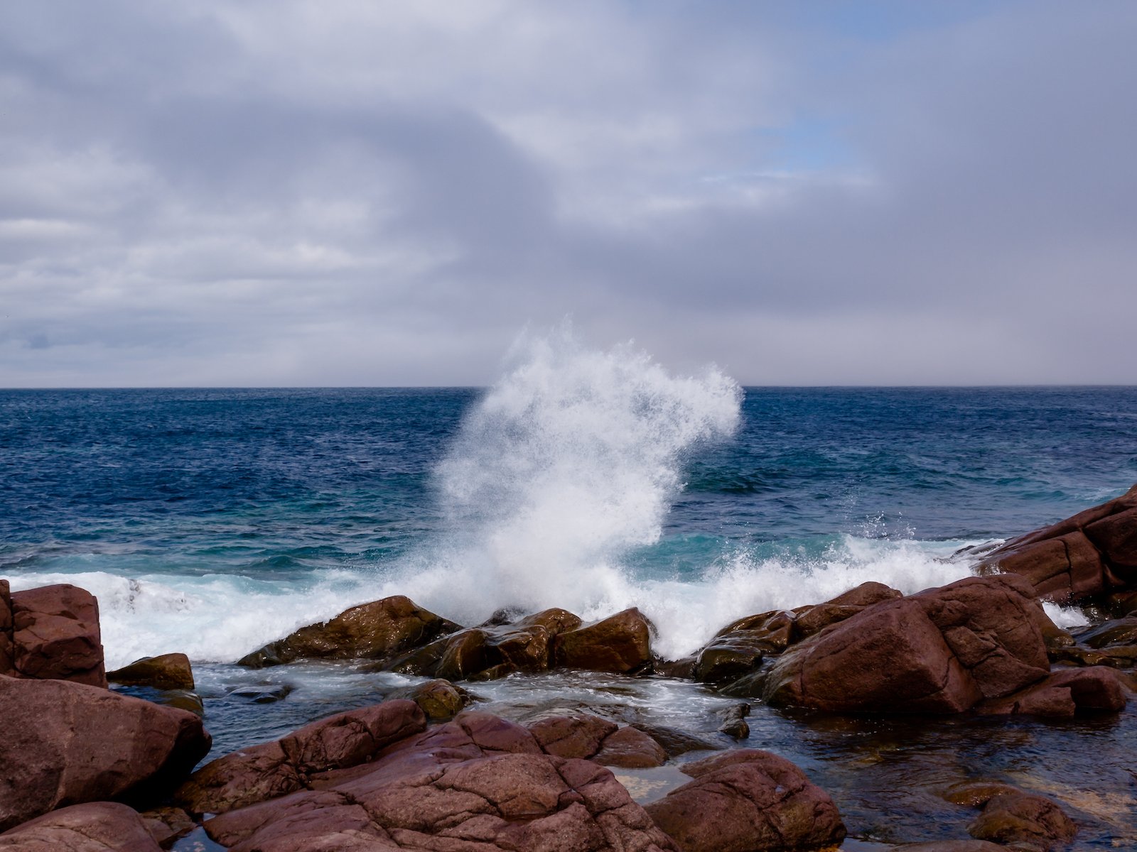 2009 Newfoundland 2020 edit-39.JPG