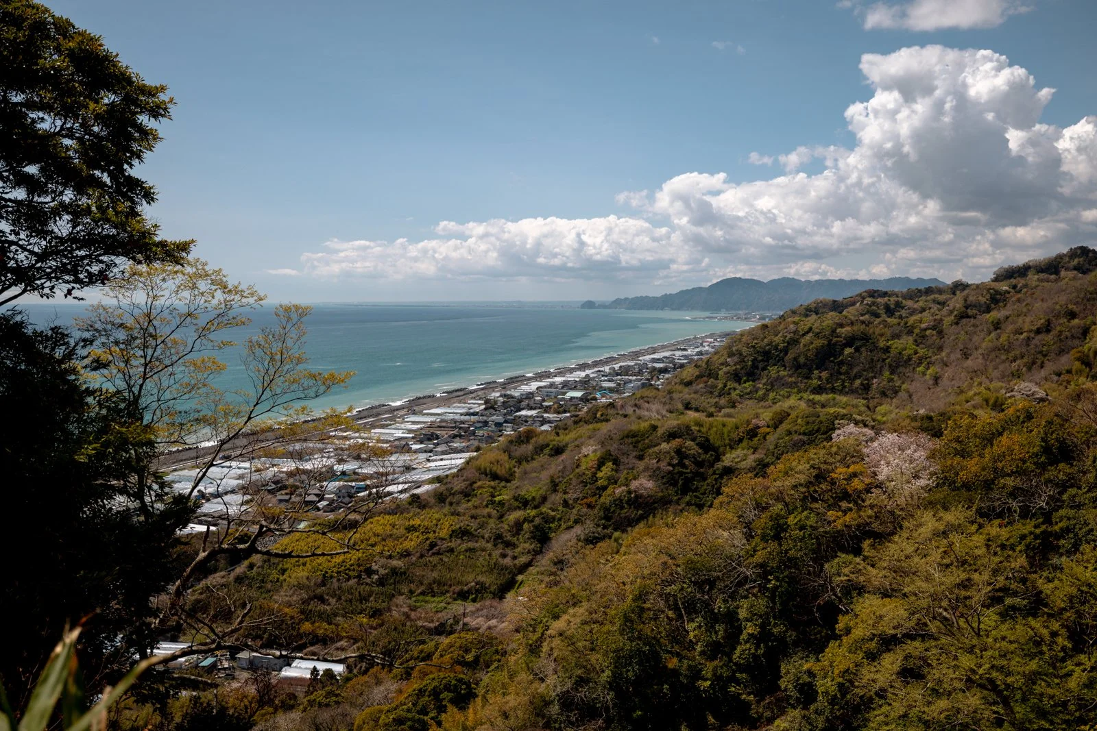 2026 SHIMIZU NIHONDAIRA ROPEWAY-14.jpg