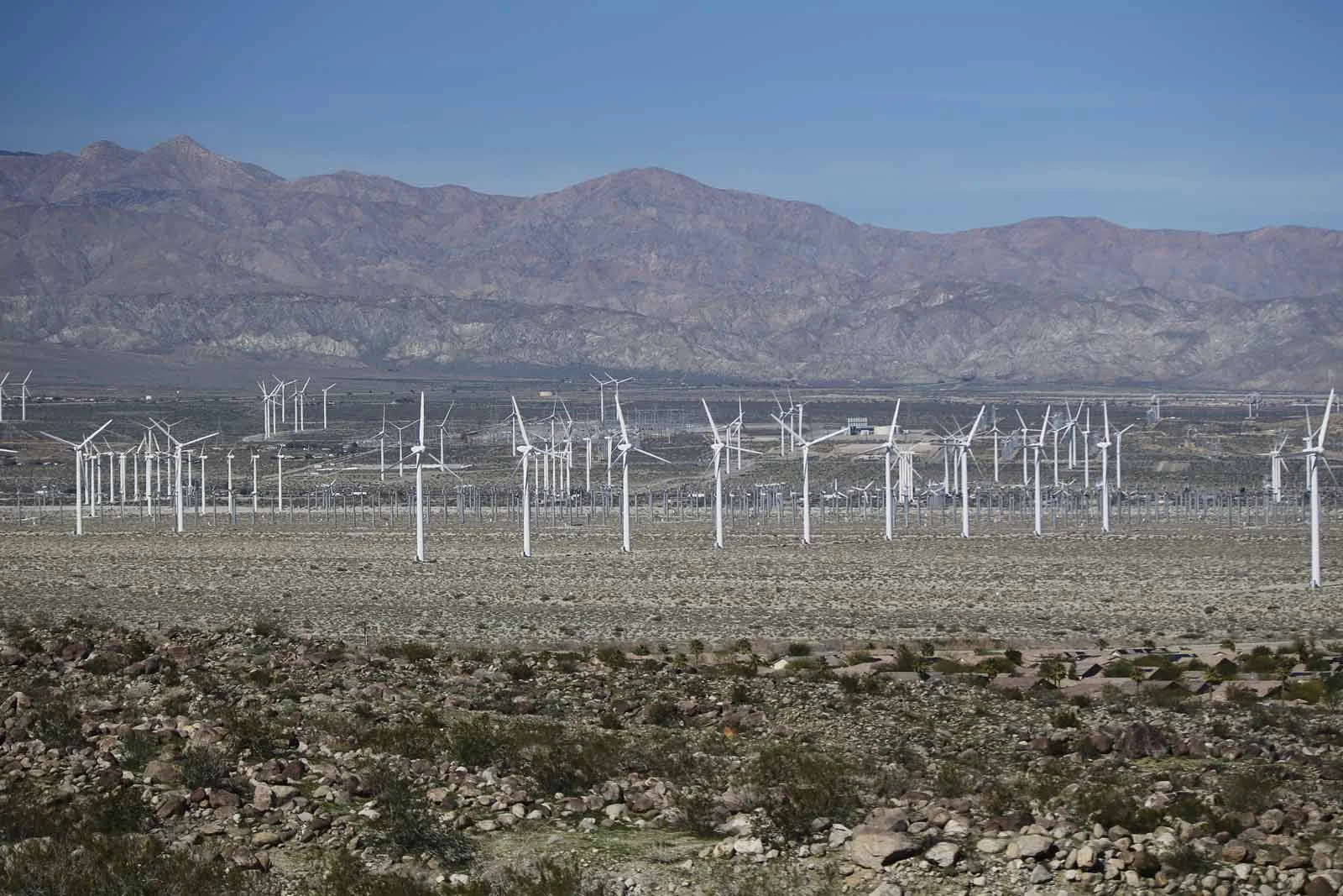 2016 PS LANDSCAPES-25.JPG