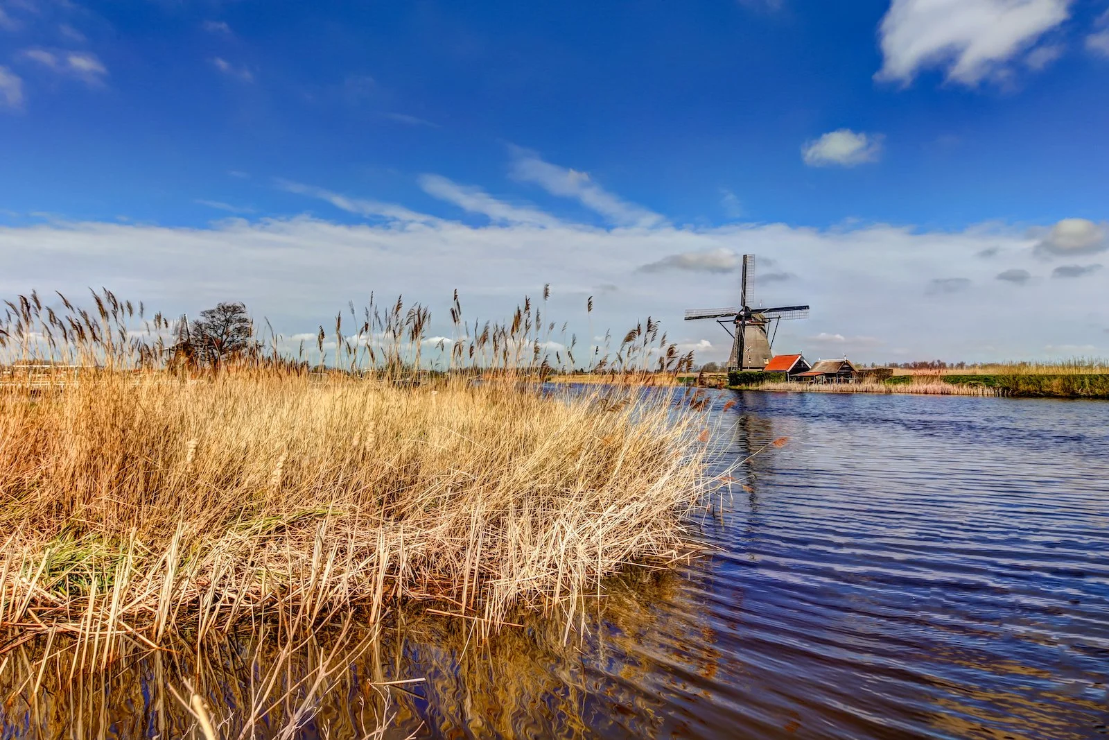 2019 KINDERDYK-15.JPG