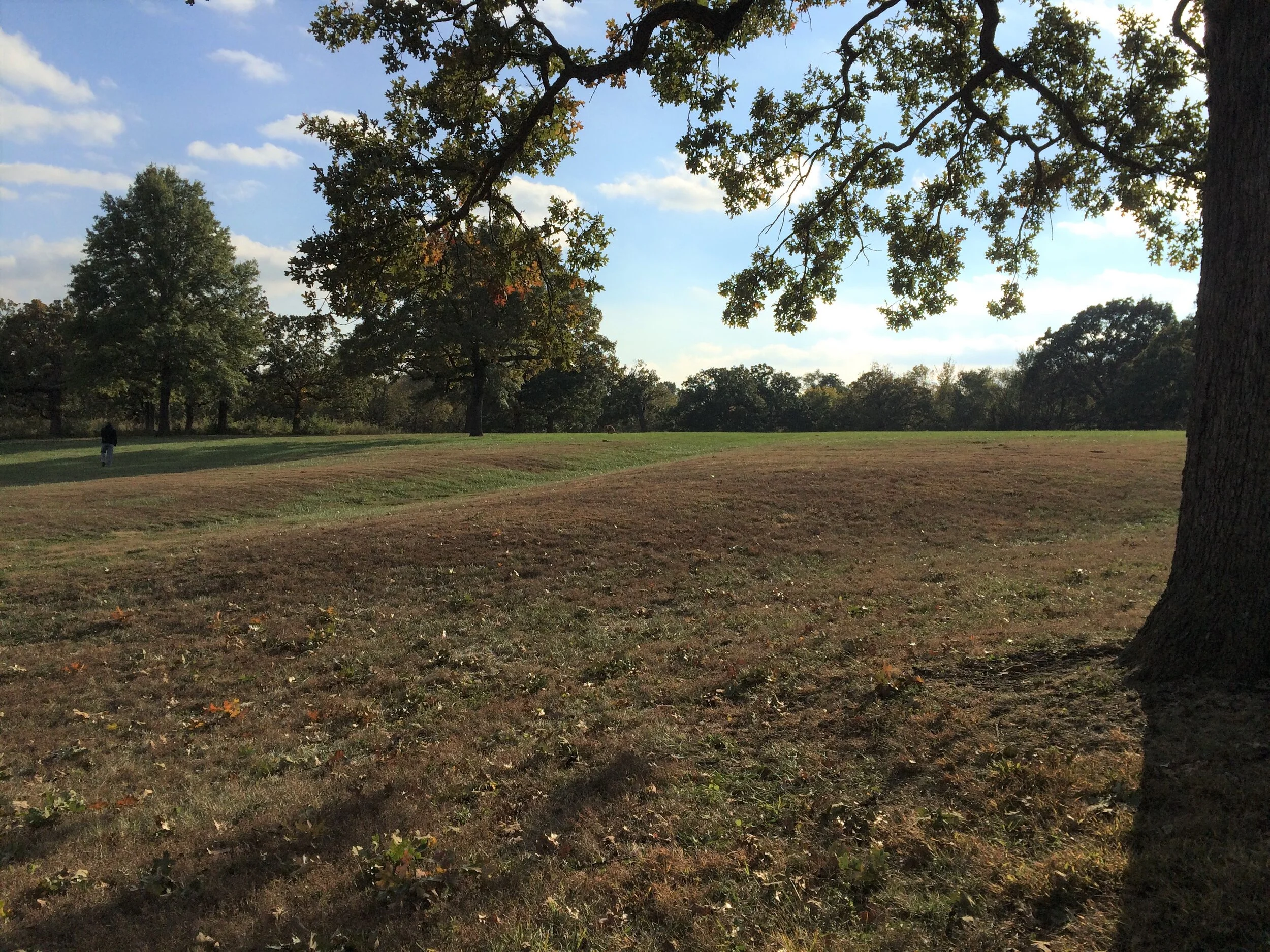 Walking In the Kansas City Ruts of the Oregon Trail