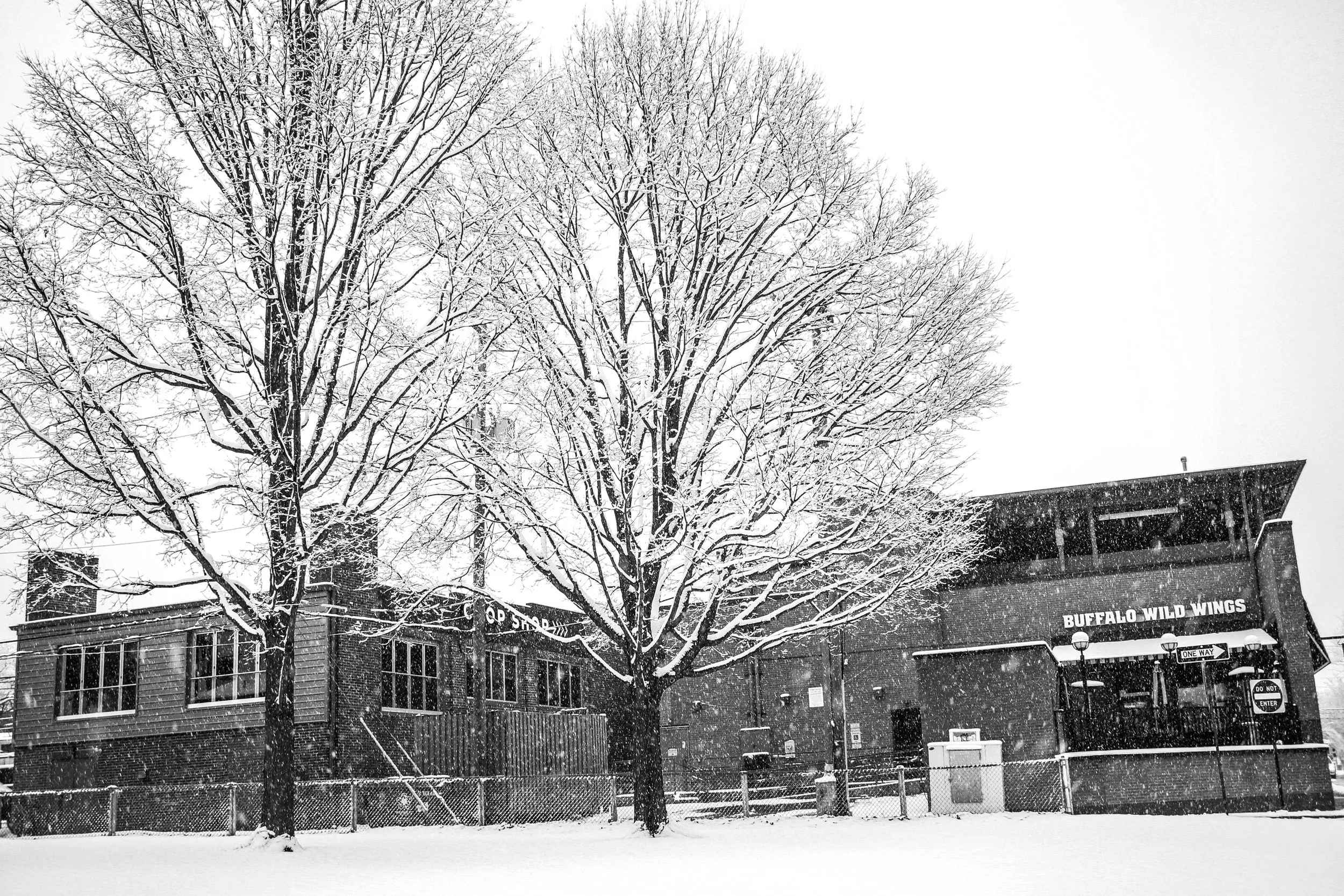 TIOGA-26.jpg