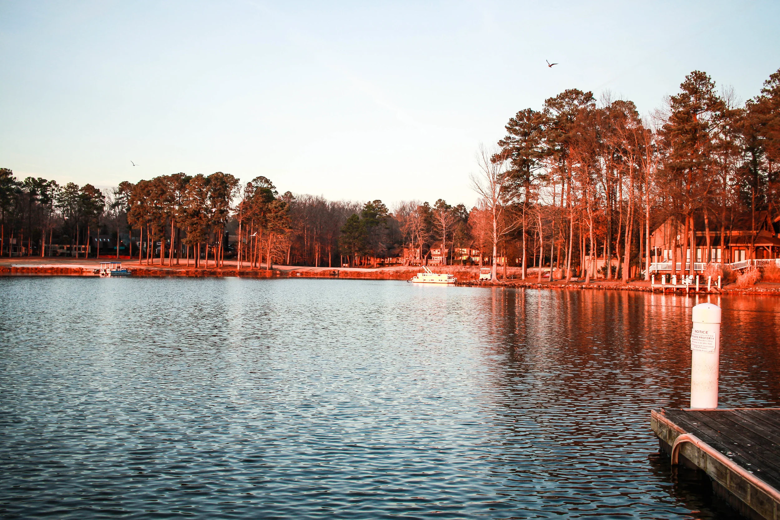 TIOGA-32.jpg
