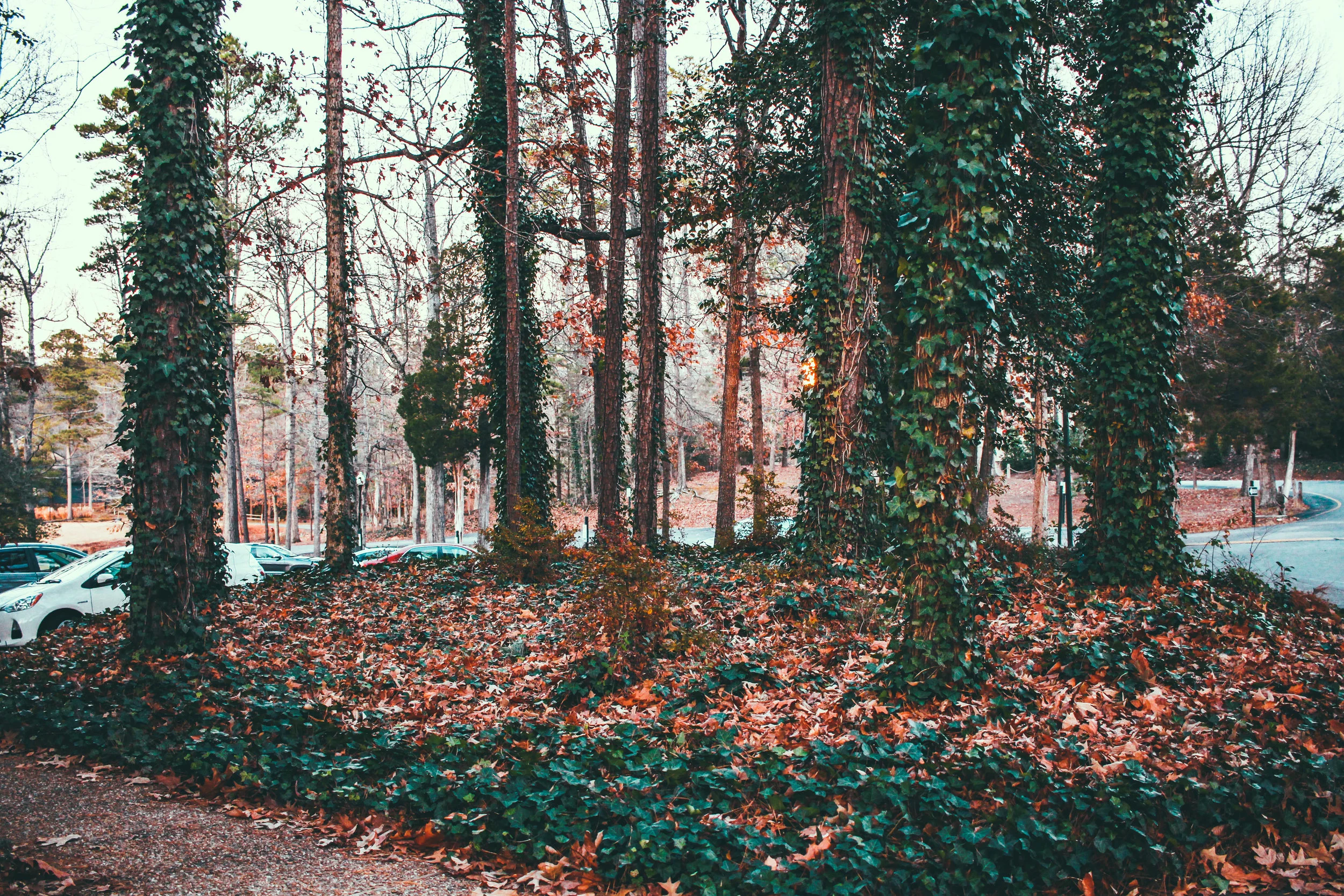 TIOGA-38.jpg