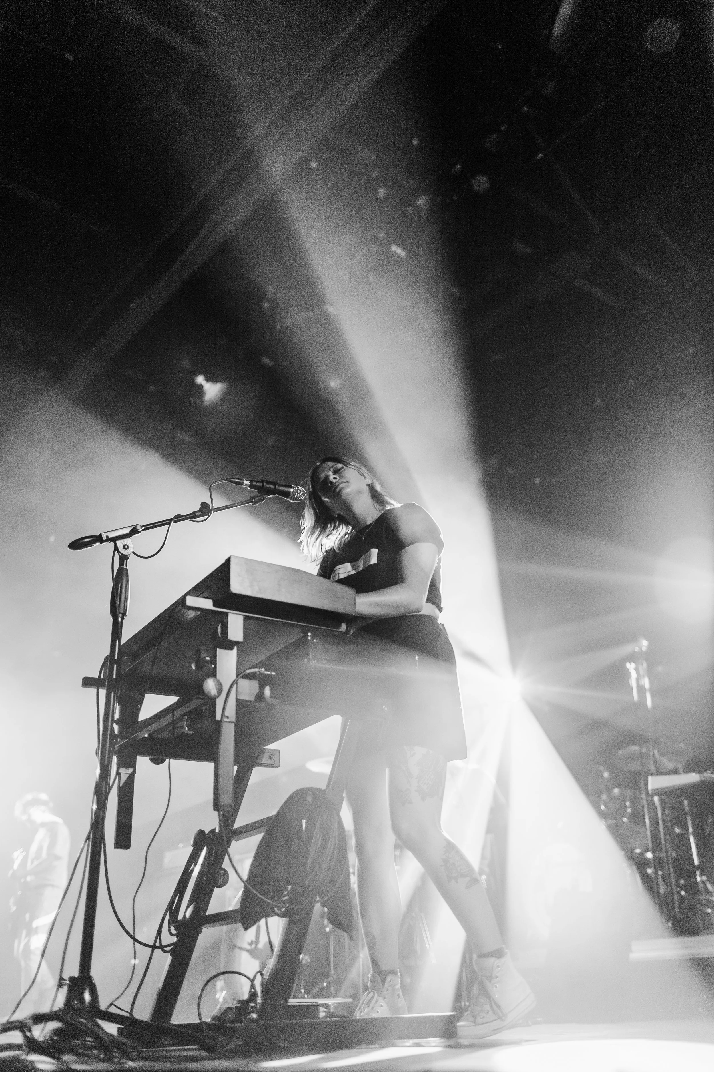 Tigers Jaw
