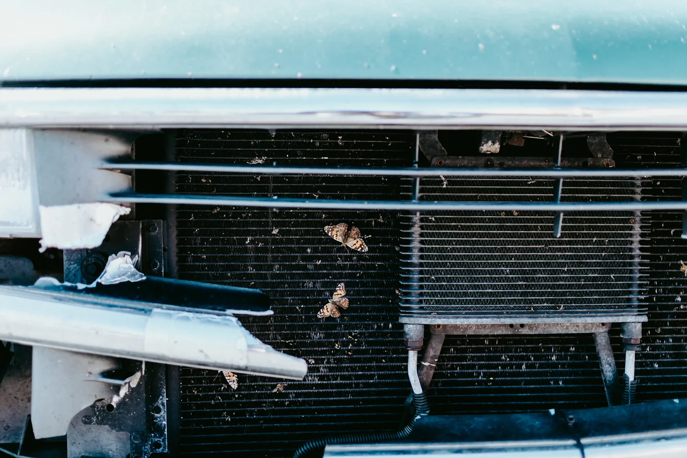 20190316_GreyMatter_Davis-1.jpg