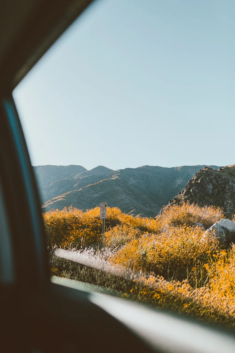 20190417_DesertX-36.jpg