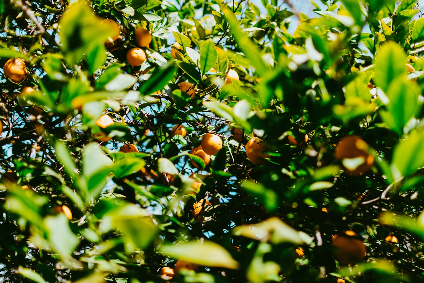 20190317_GreyMatter_Berkeley-5.jpg